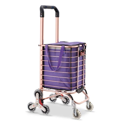 Chariots à main pour le shopping